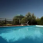Oliveto Di Geltrude Contessa *