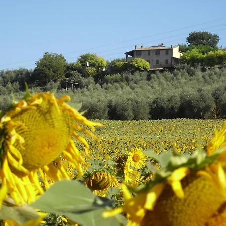 Apartman Oliveto Di Geltrude Contessa